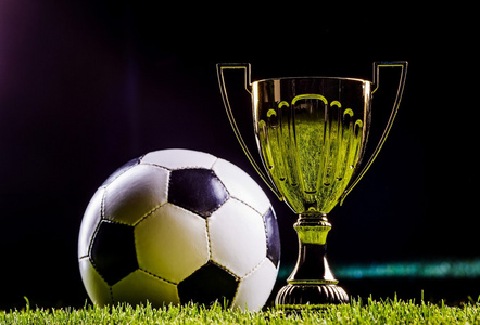 媒的报道引 媒的报道引