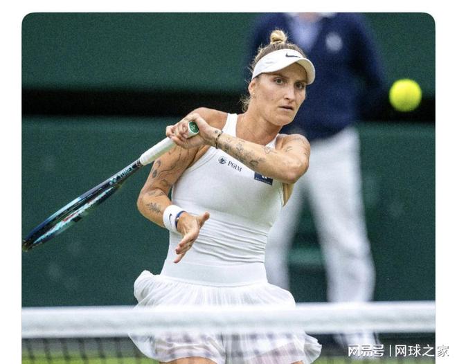 成功案例的 成功案例的