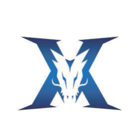 社会支持体